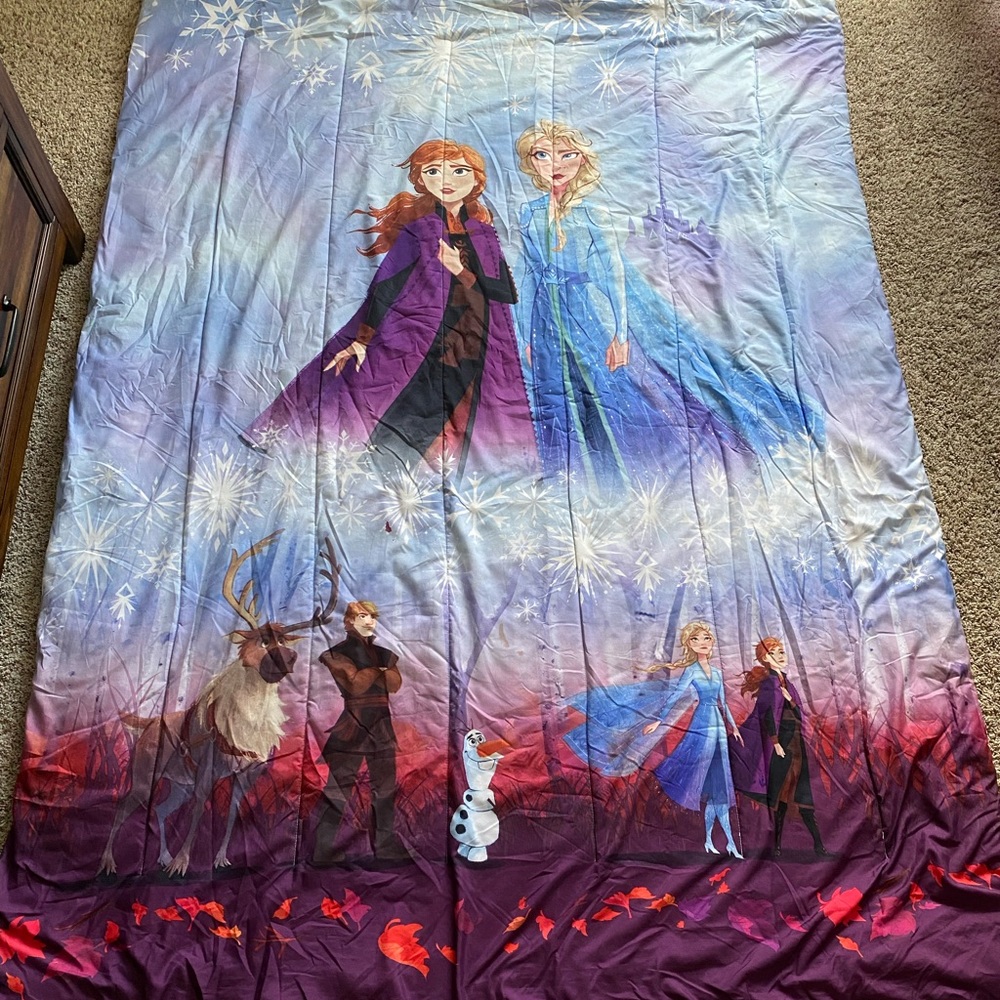 Twin bed size frozen comforter with matching pillow.